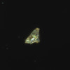 公開微粒子の光学顕微鏡写真（大きさ：0.049mm）