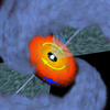VLA1623Aの想像図。中心の赤ちゃん星の周囲にケプラー回転する円盤があり、原始星の両極方向には勢いよくガスが噴き出している。（ N. Murillo et al. ）