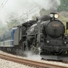 水郡線では全線開業80周年を記念した『DL奥久慈清流ライン号』『SL奥久慈清流ライン号』が運転される。写真は同列車をけん引する予定のC61形蒸気機関車（C61 20）。