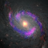 アルマ望遠鏡とハッブル宇宙望遠鏡で観測した、渦巻銀河M77の中心部