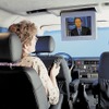 【テレマティックス欧米の流れ】インターネット放送を車上で---VW『DVB-T』
