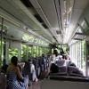 叡山電鉄は今年も「青もみじ」が見頃を迎える4月から6月にかけて「もみじのトンネル」区間での徐行運転を行う。写真は「もみじのトンネル」を走行中の900系「きらら」。