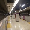 埼玉高速鉄道は愛称の条件として利便性の高さなどを連想させるものを求めている。写真は埼玉高速鉄道線の川口元郷駅。