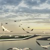 東京大学のチームは、ドローンを活用して空港から鳥を人口営巣地に誘導するというアイデアで最終ラウンドに進出