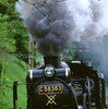 「わくわく探検ツアー」は7月から8月にかけて計3回実施。蒸気機関車の動輪磨きなどが行われる。