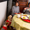 夕食は、犬と店内で食事ができる「翠天楼 本店」で。