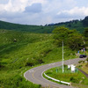 山口県のまんなか付近に位置する、日本最大級のカルスト台地「秋吉台」もドライブスポットとして人気