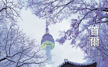 香港航空、ソウル線を新規開設 12月16日から 画像