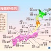 桜開花傾向