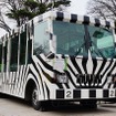 運行休止を前に、2日間限定でライオンバスの車両公開も実施された。