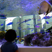 『Sony Aquarium』
