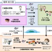 セルラードローンを活用した買い物代行サービスの実証実験の概要