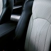 レクサス RX 特別仕様車 ブラックツアラーシート