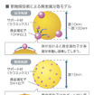 マツダの新型触媒、貴金属を約70％削減…アクセラ