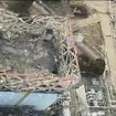 1号原子炉建屋（動画キャプチャ。10日、撮影・提供＝東京電力）