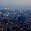 門前仲町などの街並みを手前に、夢の島公園、新木場貯木場、さらに東京ゲートブリッジを望む