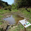 埼玉製作所寄居工場 東側ビオトープ