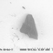 公開微粒子の電子顕微鏡写真（大きさ：0.049mm）