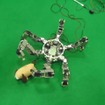 大阪大学の小型点検作業ロボット「ASTERISK」。シンメトリックな6本の肢機構を備え、状況に応じて肢を腕や脚として動作できる（写真5）