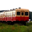 小湊鉄道線を走る気動車。10月の台風26号の影響で今も養老渓谷～上総中野間の運休が続いている。