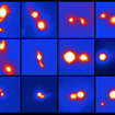 すばる望遠鏡で撮影した合体中の大光度赤外線銀河の赤外線画像（観測波長2.2マイクロメートル、 Kバンド） の例（出典：国立天文台）