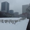 雪の東京（日比谷公園、2月14日昼）