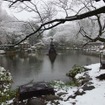 雪の東京（日比谷公園、2月14日昼）