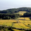 五能線の岩館～深浦間は再開まで1カ月程度かかる見込み。写真は田園地帯を走る五能線の気動車。