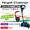 Winglet Challenge