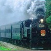 C11形けん引のSL列車『SLニセコ号』。秋期も9月に続き、11月3日までの土・日・祝日に運転される