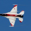 試験塗装のF-2戦闘機は全機が岐阜基地に所属している。