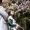 春ドライブ 桜の鎌倉