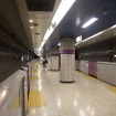 「総選挙」では愛称案の3作品のなかから一つを選ぶ。写真は埼玉高速鉄道線の川口元郷駅。