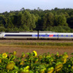 フランス新幹線TGV、25周年---キャンペーンで過熱