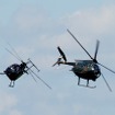 規模を大幅に縮小したが、ヘリコプターの機動性を披露する飛行展示も行われた。退役が迫る自衛隊の「OH-6」が注目の的だった。