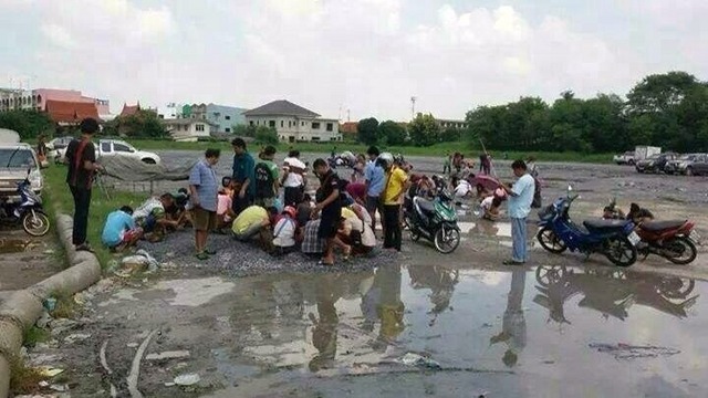 バンコクの駐車場に「金塊」？　住民が連日殺到