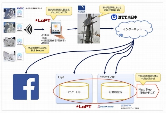 実験の概要