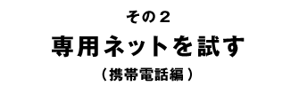 2ѥͥåȤλʷԡ