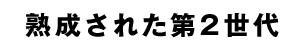 줿2