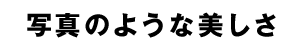 ̿Τ褦