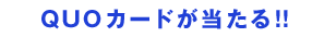QUOɤ롪