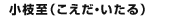 koeda