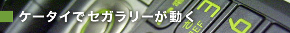 ǥ꡼ư