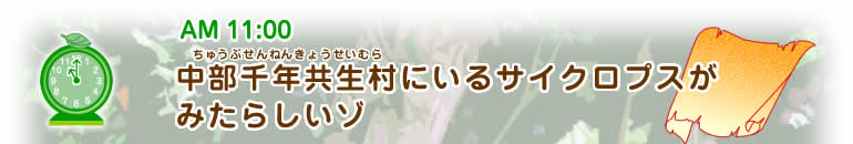 AM11:00 【中部千年共生村(ちゅうぶせんねんきょうせいむら)にいるサイクロプスがみたらしいゾ】