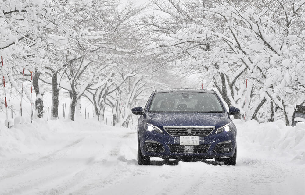 DUNLOP ALL SEASON MAXX AS1 × レスポンス