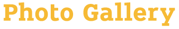 photo gallery