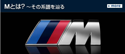 M モデルとは？