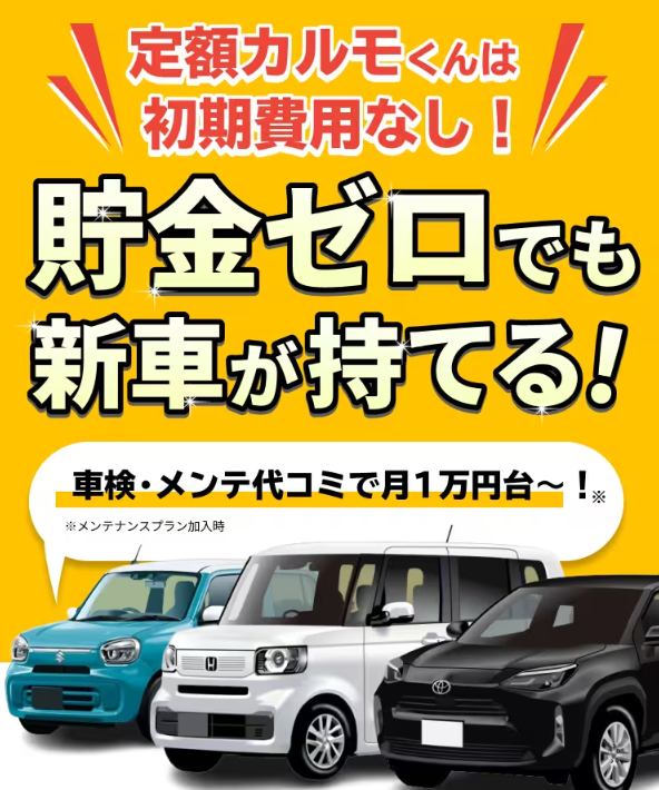 定額カルモくん