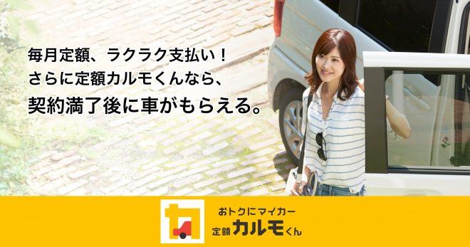 定額カルモ君lp画像