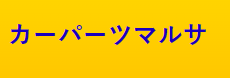 カーパーツマルサ